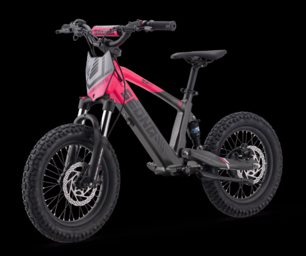 Elektro Fahrrad Sedna SX16"